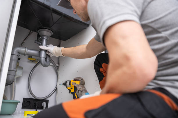 Best Clogged Drain Plumber  in Litchfield, MI